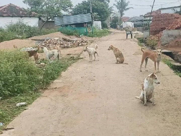 ‘వీధి కుక్కల సమస్యను పరిష్కరించండి’