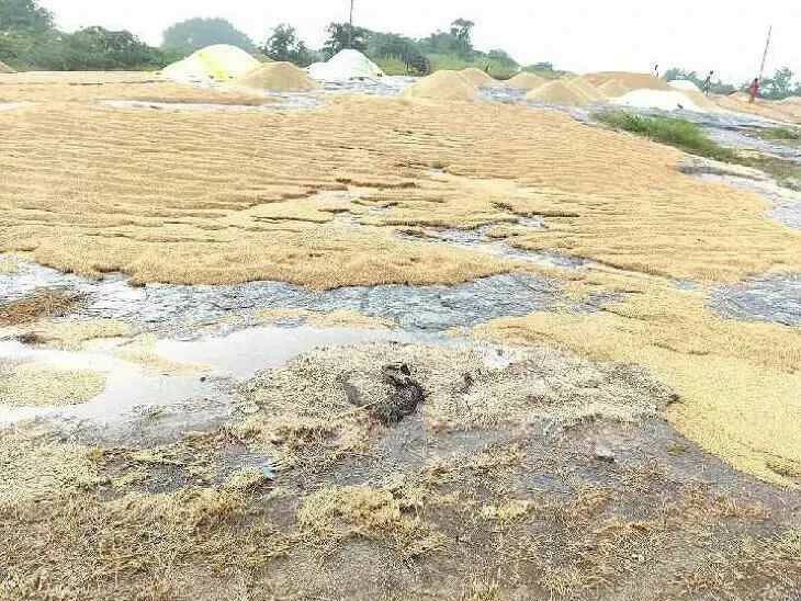చిగురుమామిడిలో రైతన్నకు కన్నీళ్లు