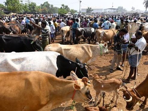 అనంతపురం సంతకు లక్షల ఆదాయం