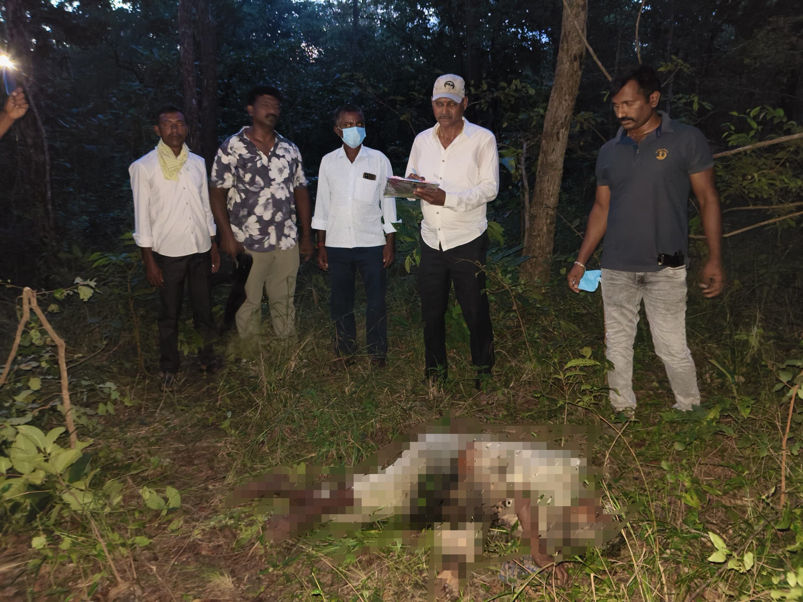 అడవి బర్రె దాడిలో మేకల కాపరి మృతి
