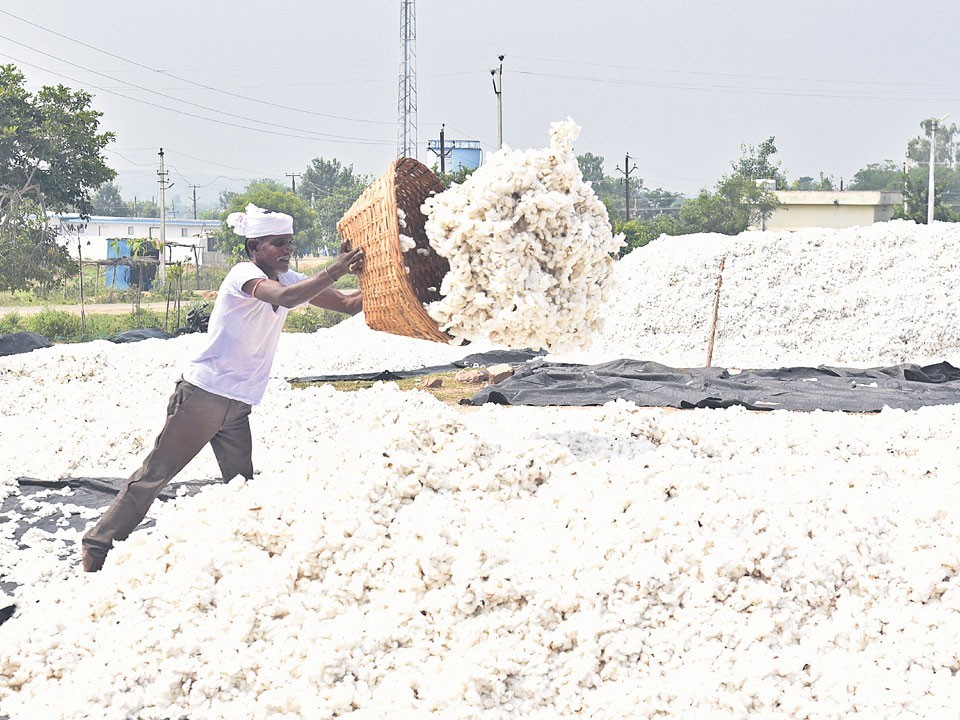 దళారుల చేతిలో అన్నదాతల దగా