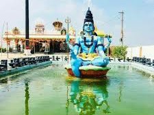 కొబ్బరికాయల దుకాణంకు వేలంపాట