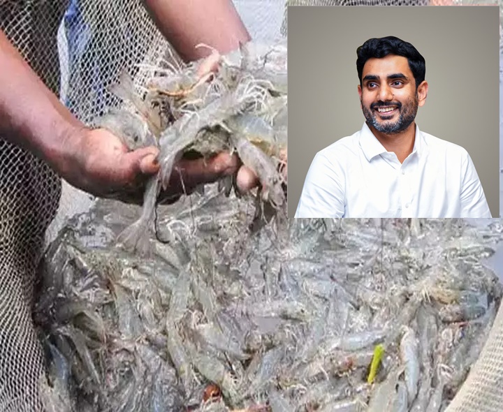ఆక్వా రైతులకు లోకేష్ GOOD NEWS