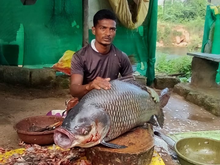 ఏకేబీఆర్‌లో 30 కిలోల భారీ చేప లభ్యం!