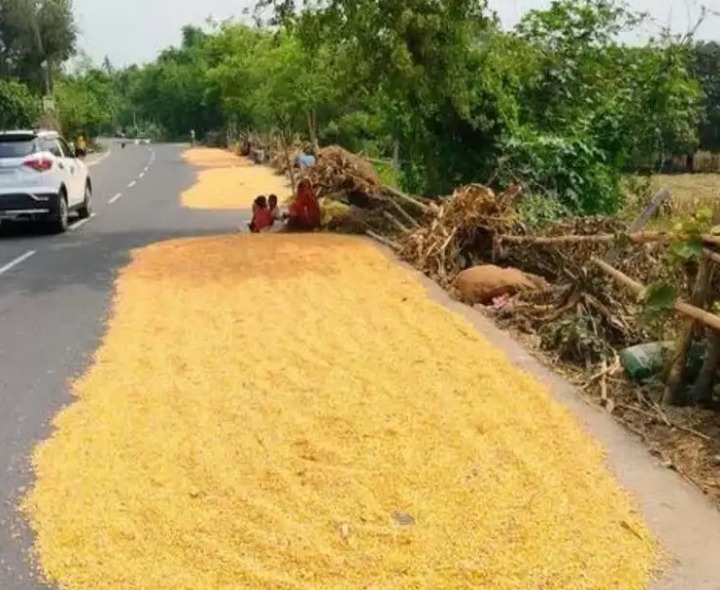 అకాల వర్షాలు.. ఆగమవుతున్న అన్నదాతలు