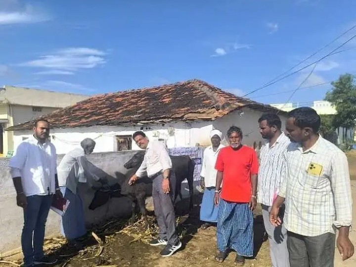 197 పశువులకు ఉచిత గాలికుంటు టీకాలు