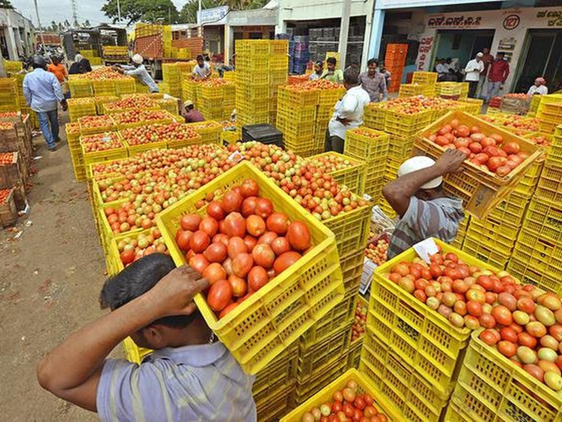 ఆశలు రేకెత్తిస్తున్న టమాటా ధరలు