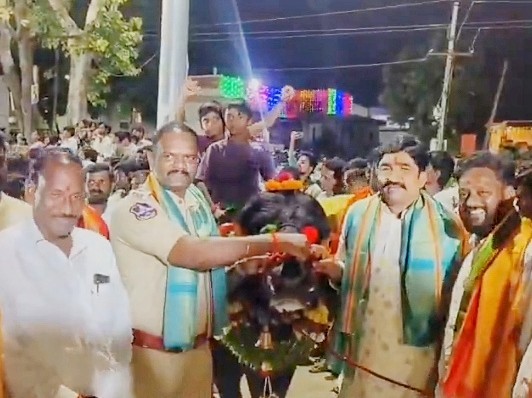 నిర్మల్లో సదర్.. దున్నపోతుల విన్యాసాలు