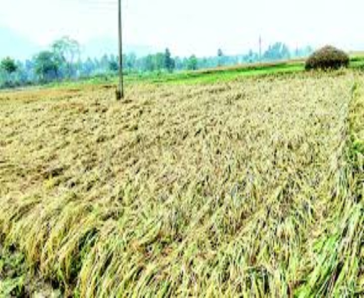 ఆగని చినుకు.. వెన్నులో వణుకు