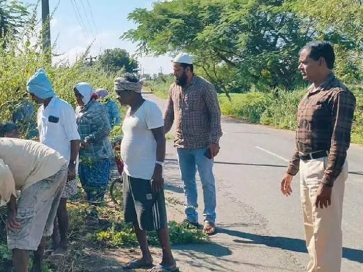 ‘రహదారులకు ఇరువైపులా  పిచ్చి మొక్కలను తొలగించాలి’