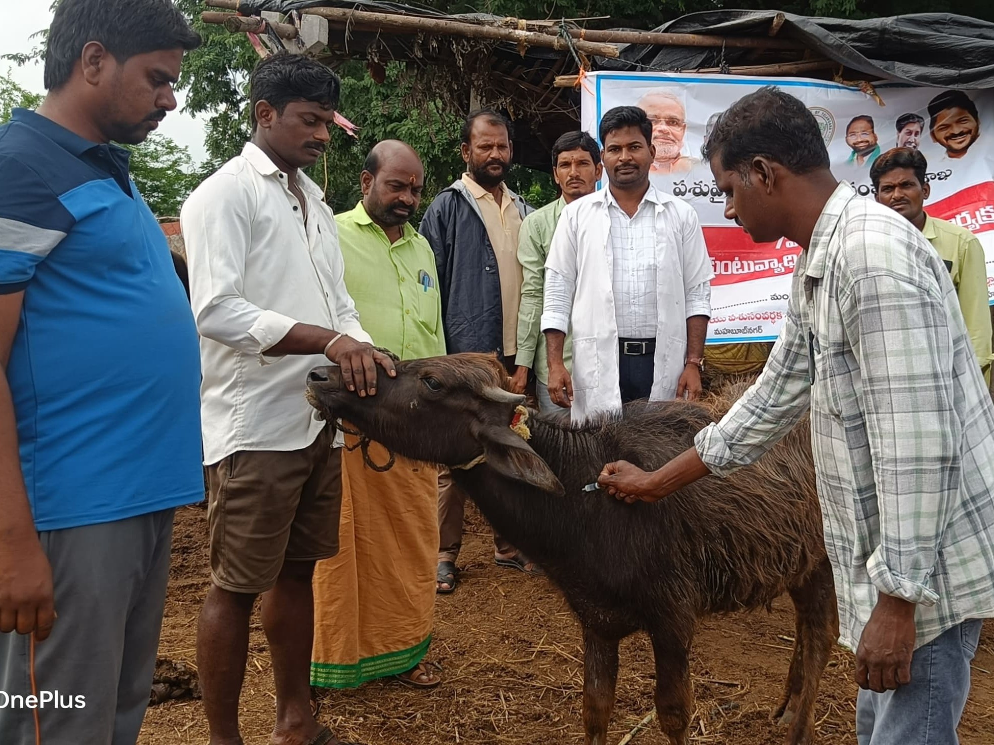 ఉచిత గాలికుంటు నివారణ టీకాలు..