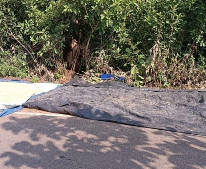 జొన్న గింజలు ఎత్తుకెళ్లిన దొంగలు