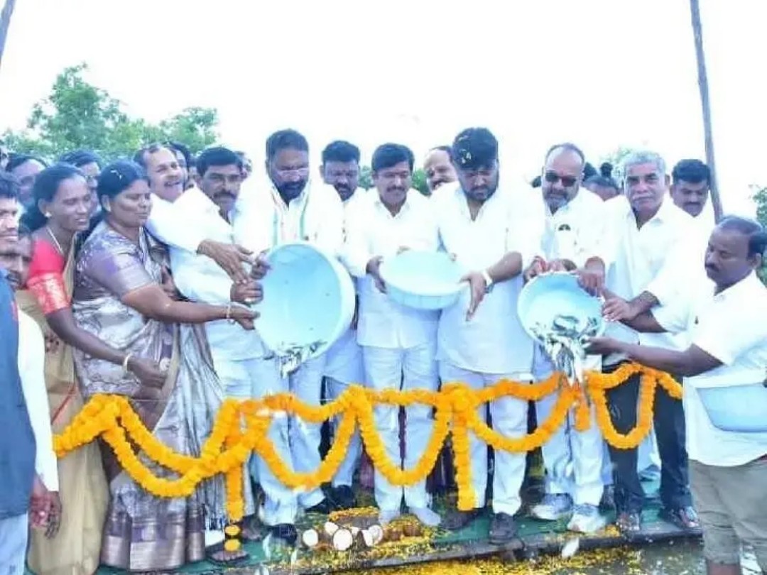 కోట్పల్లి చెరువులో చేప పిల్లల విడుదల