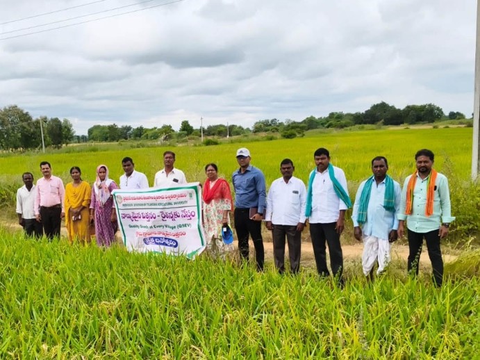 ‘ఆర్​డీఆర్​ విత్తనాలతో అధిక లాభాలు’