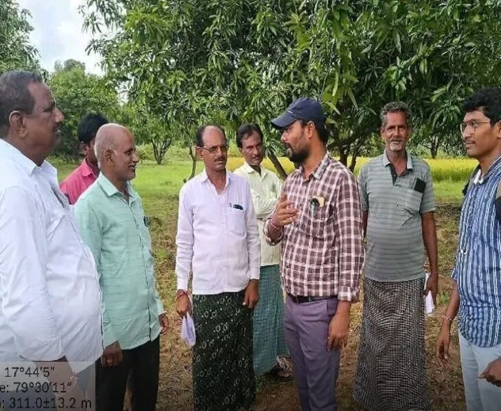 మామిడి రైతులు ఇవి పాటించండి!