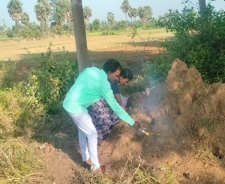 జిల్లాలో భక్తి శ్రద్ధలతో నాగుల చవితి పూజలు