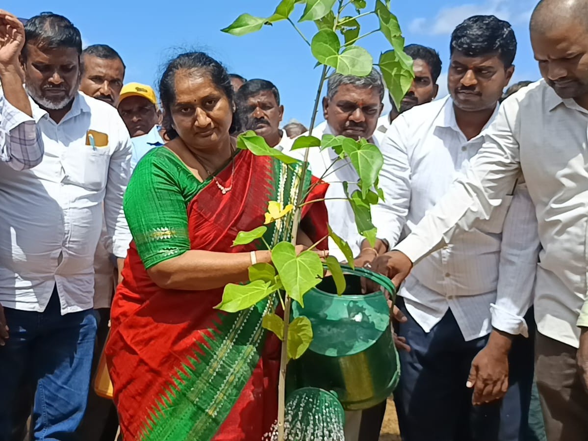 ఆడదాకులపల్లిలో మొక్కలు నాటిన మంత్రి సవిత