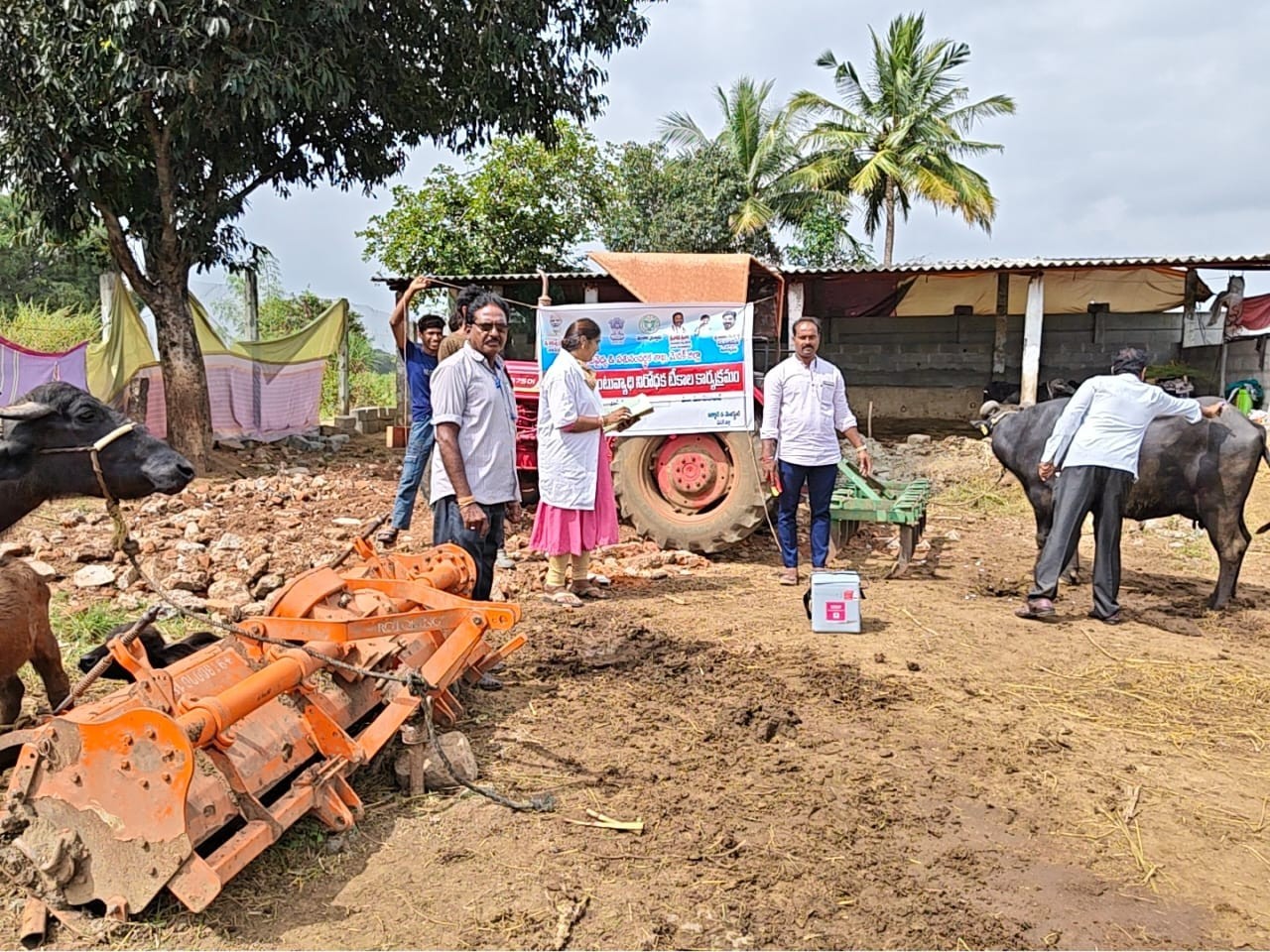పశువులకు గాలికుంటు వ్యాధి టీకాలు వేయించాలి