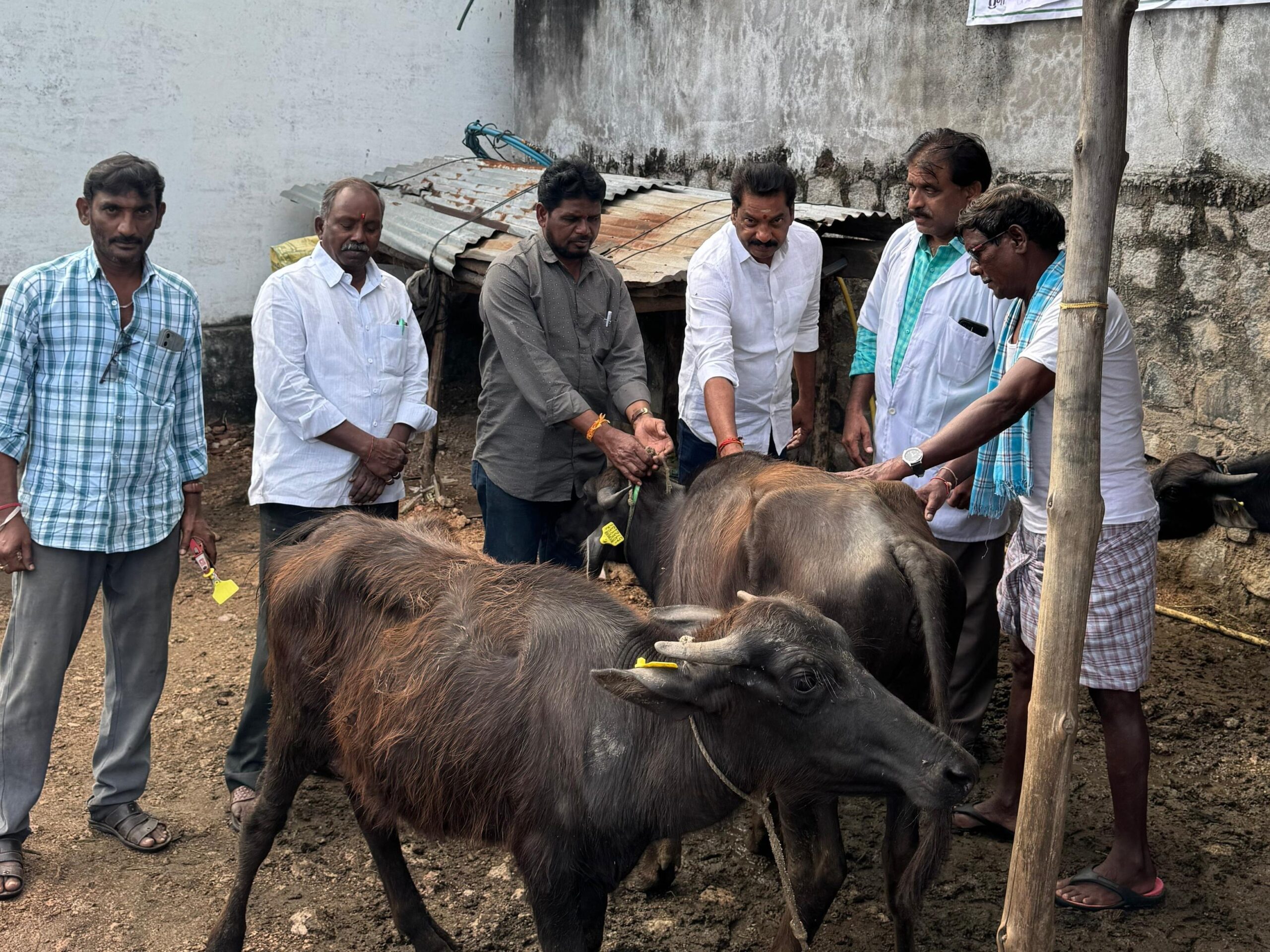 ‘ఉచిత టీకాలు సద్వినియోగం చేసుకోవాలి’