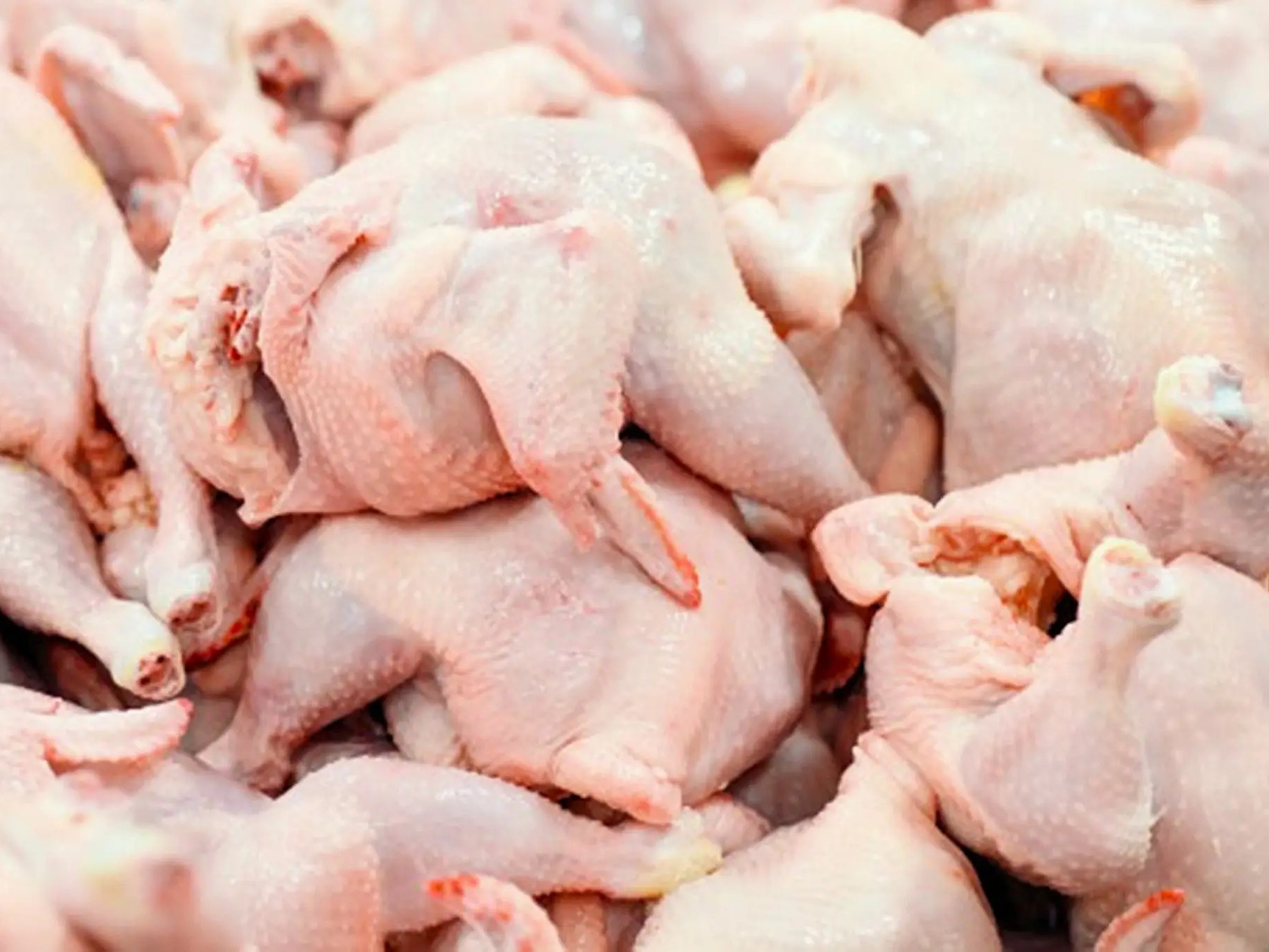 ఆదివారం చికెన్ ధరలు