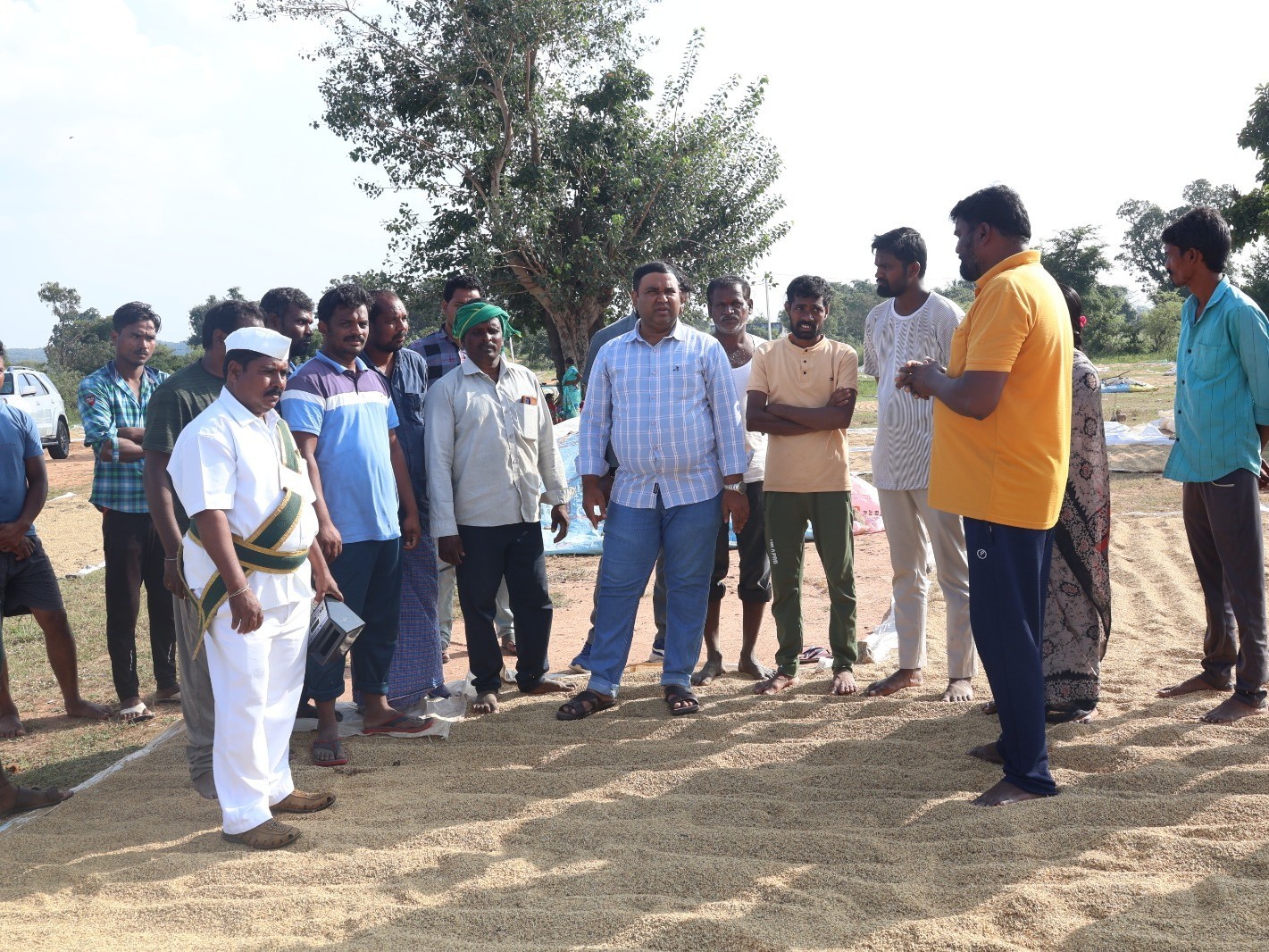 498 ధాన్యం కొనుగోలు కేంద్రాలు