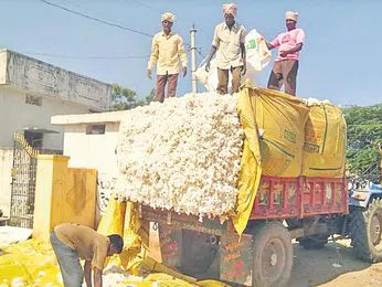 తెల్ల బంగారం రైతు వెలవెల..!