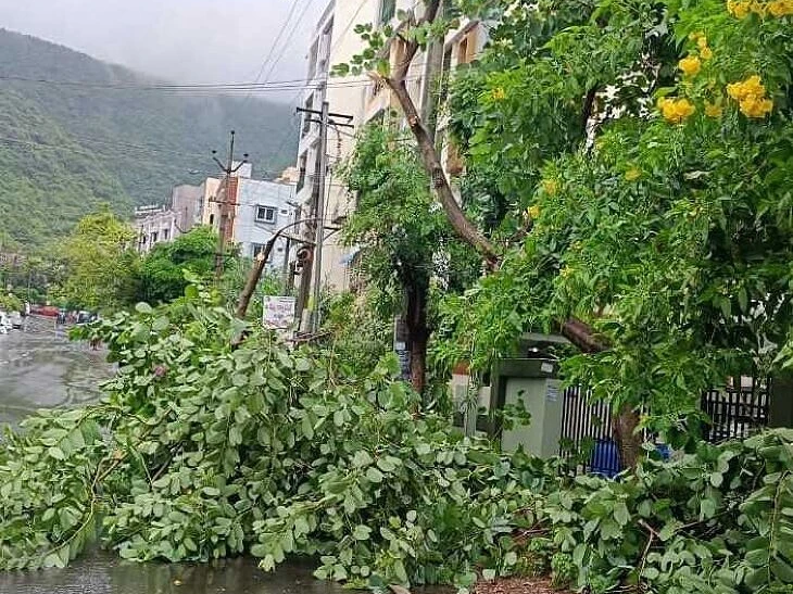 విశాఖలో పలుచోట్ల నేలకొరుగుతున్న చెట్లు