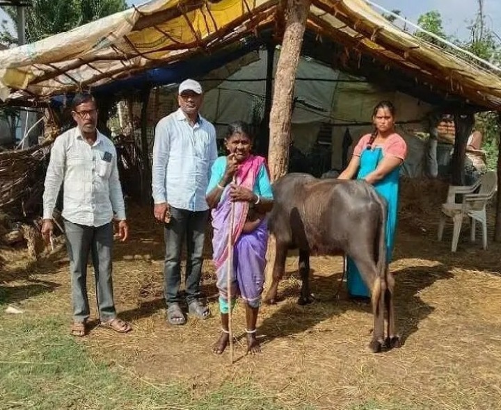 గాలి గుంట నివారణ టీకాలు వేసిన పశు వైద్యాధికారి