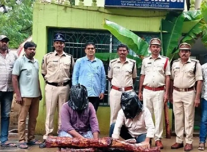 పుత్తూరులో 19 ఎర్రచందనం దుంగలు స్వాధీనం