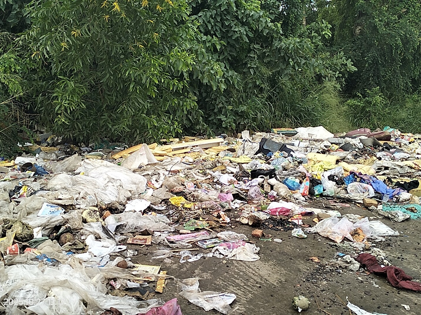 రోడ్డు పక్కనే చెత్తా చెదారం!