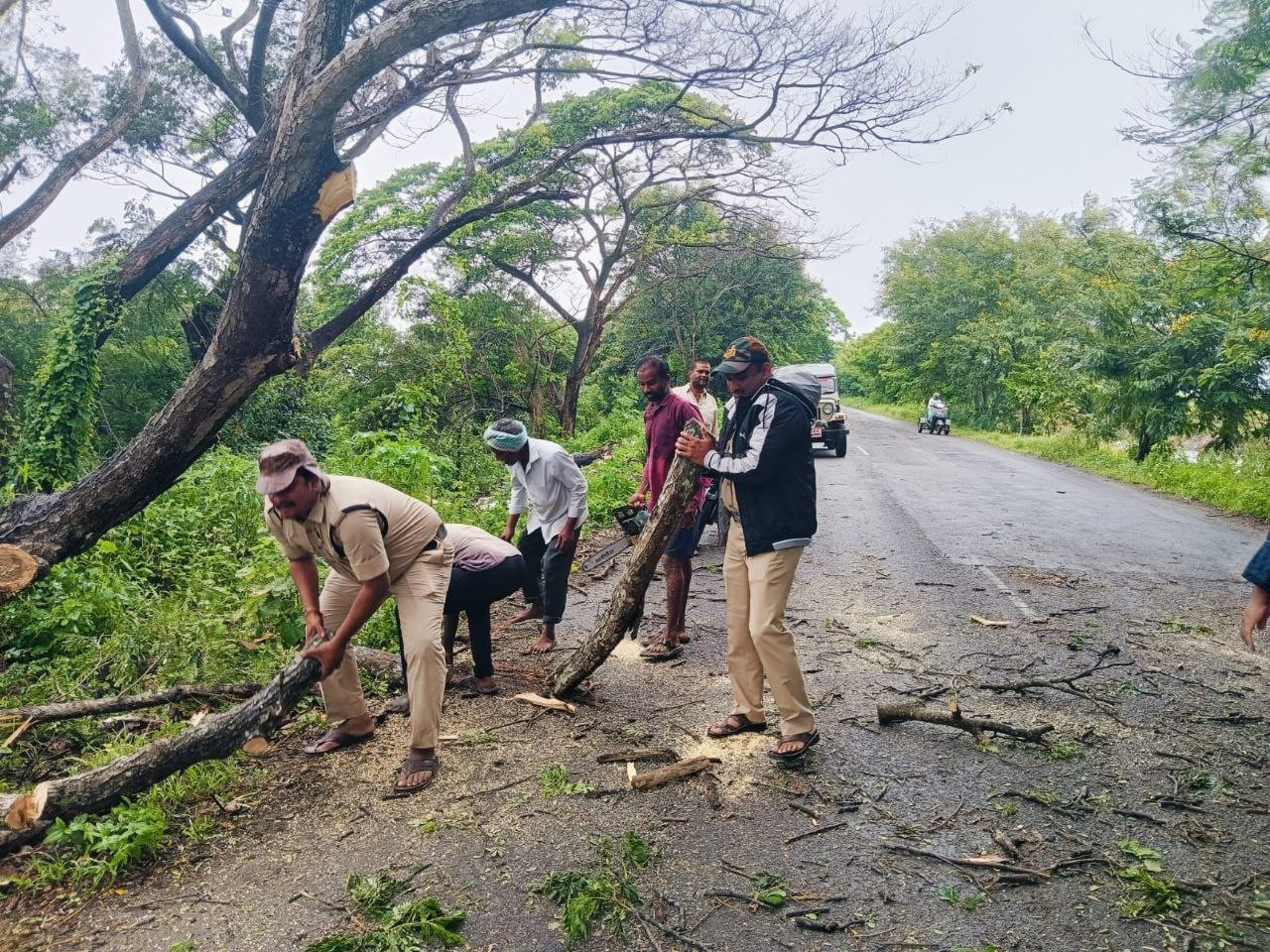 రహదారిపై చెట్టును తొలగించిన ఎస్సై