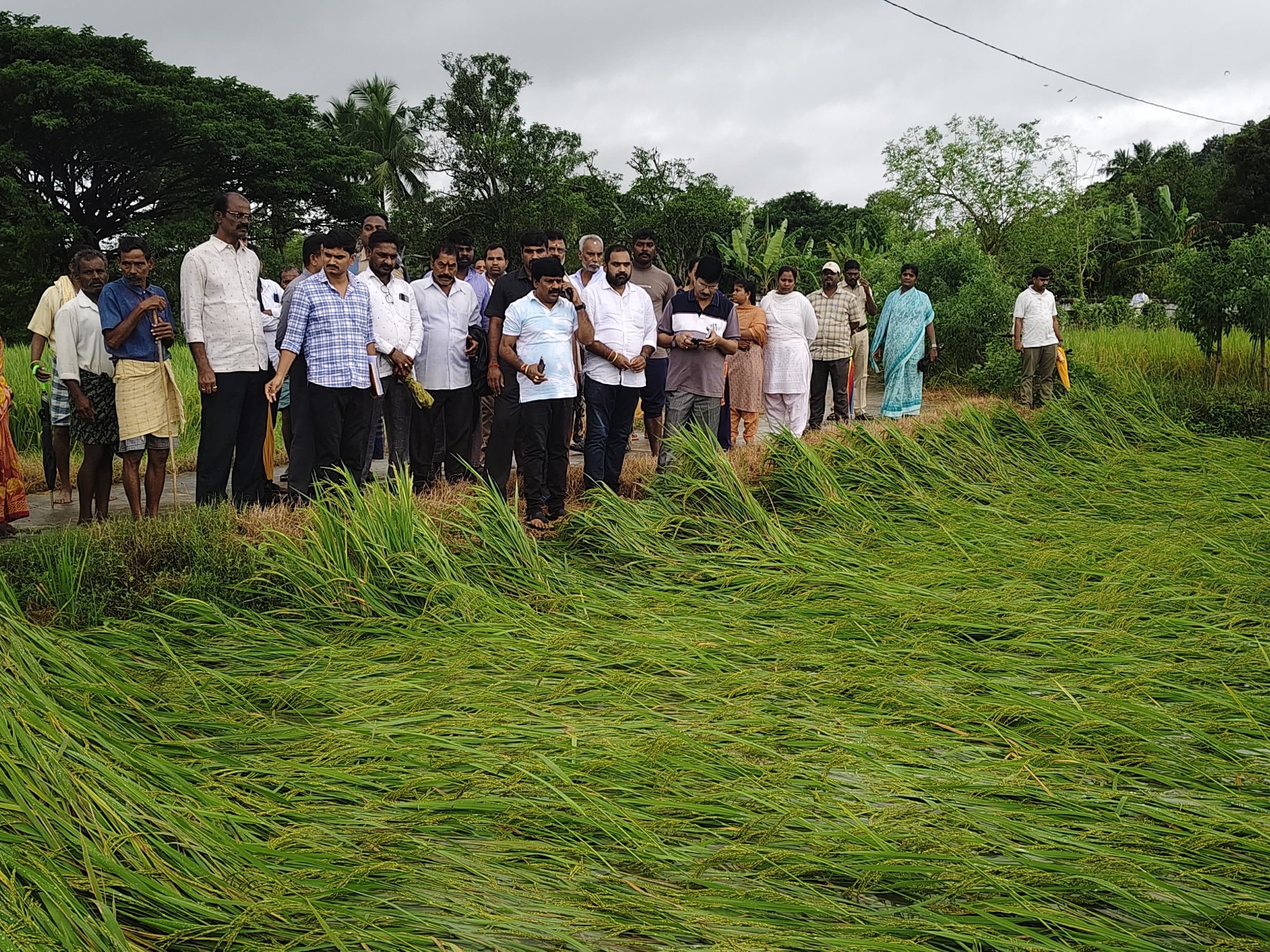 తుఫాన్ ప్రభావిత ప్రాంతాలలో పర్యటించిన ఎమ్మెల్యే