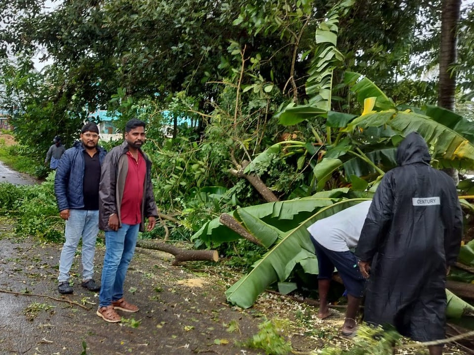 ముమ్మరంగా చెట్ల తొలగింపు పనులు