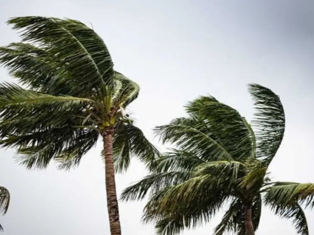 గుంటూరు జిల్లాపై మొంథా పంజా.. గాలివాన ముప్పు