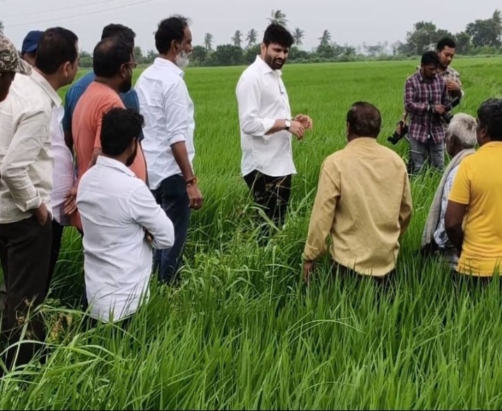 పంటపొలాలు పరిశీలించిన ఎంపీ