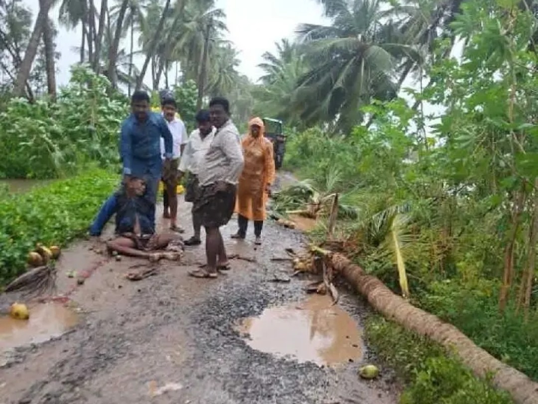కొబ్బరి చెట్టు పడి వ్యక్తికి తీవ్ర గాయాలు