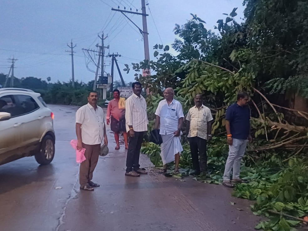 రహదారిపై విరిగిపోయిన చెట్ల తొలగింపు