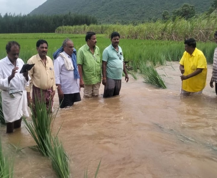 మునిగిన పంట పొలాలను పరిశీలించిన మాజీ MLC