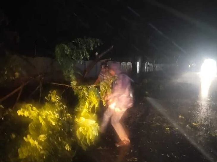 రోడ్డుకు అడ్డంగా కూలిన చెట్టు తొలగింపు