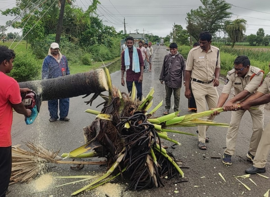 రోడ్డు అడ్డంగా ఉన్న తాడిచెట్టును తొలగించిన పోలీసులు
