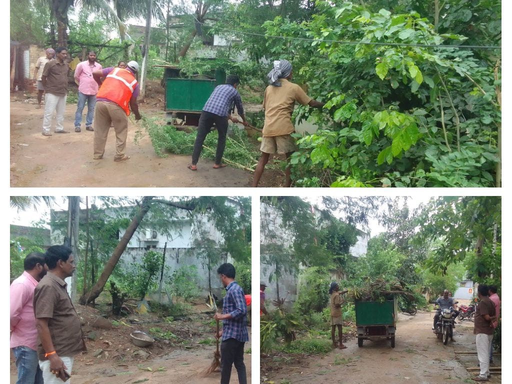రోడ్డుపై పడి ఉన్న చెట్టు కొమ్మలు తొలగింపు