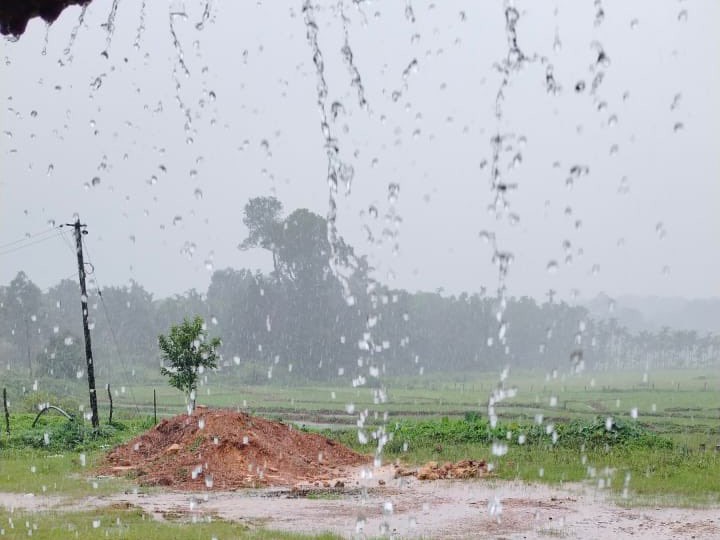 జిల్లాలో 74.2 మిల్లీమీటర్ల వర్షపాతం నమోదు