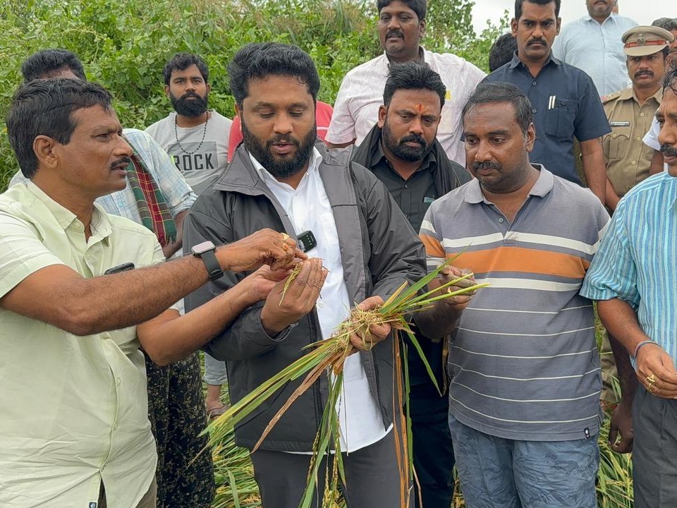 నష్టపోయిన ప్రతి రైతును ప్రభుత్వం ఆదుకుంటుంది