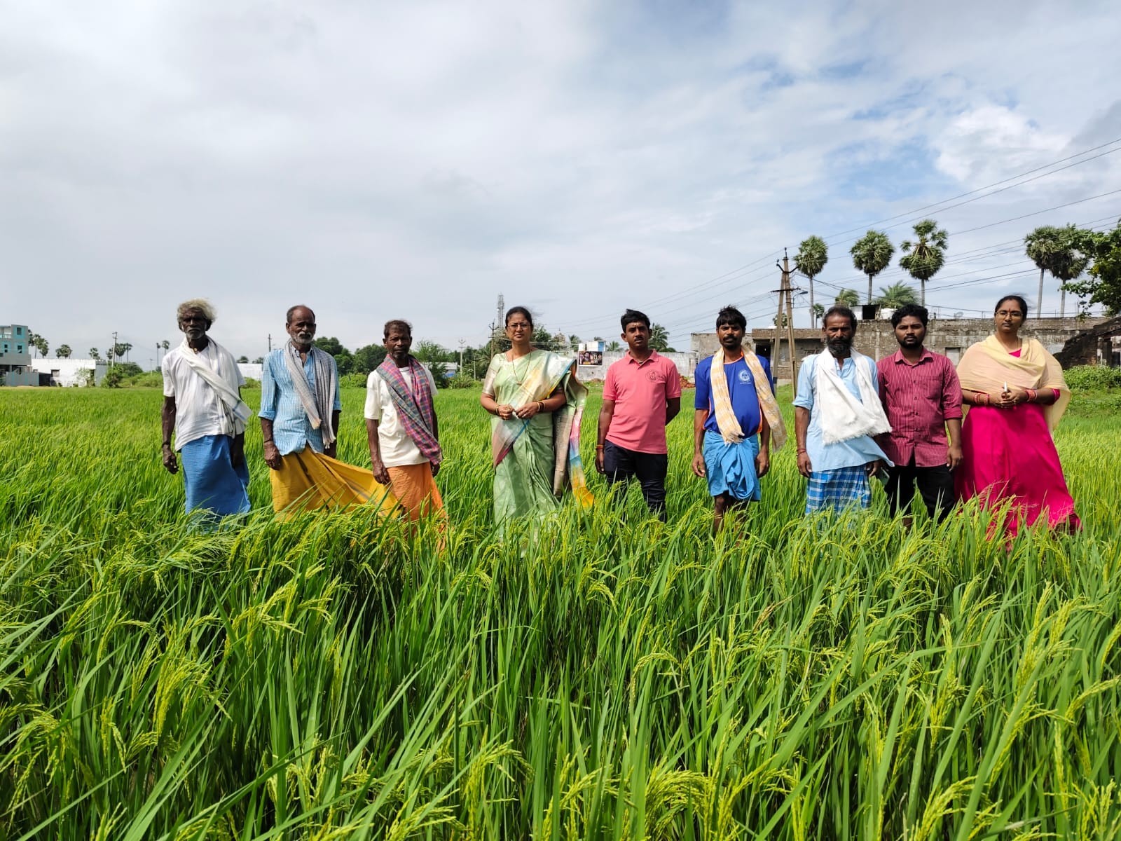 ‘పంట పొలాలలో నిల్వ ఉన్న నీటిని బయటకు విడిచిపెట్టండి’