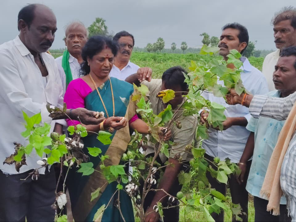 దెబ్బతిన్న పంటలను పరిశీలించిన వంగా గీత