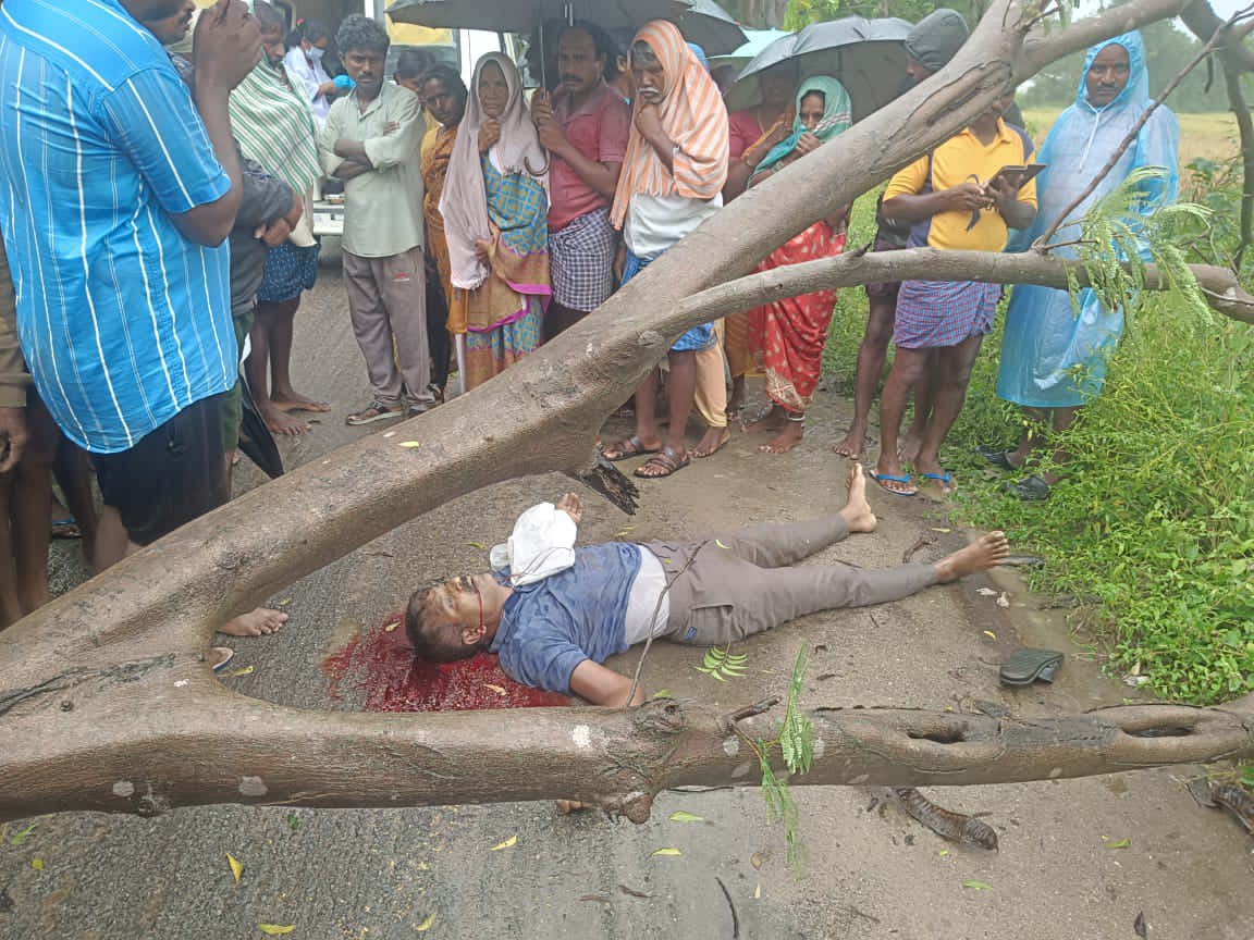 విషాదం.. చెట్టు కూలి వ్యక్తి మృతి