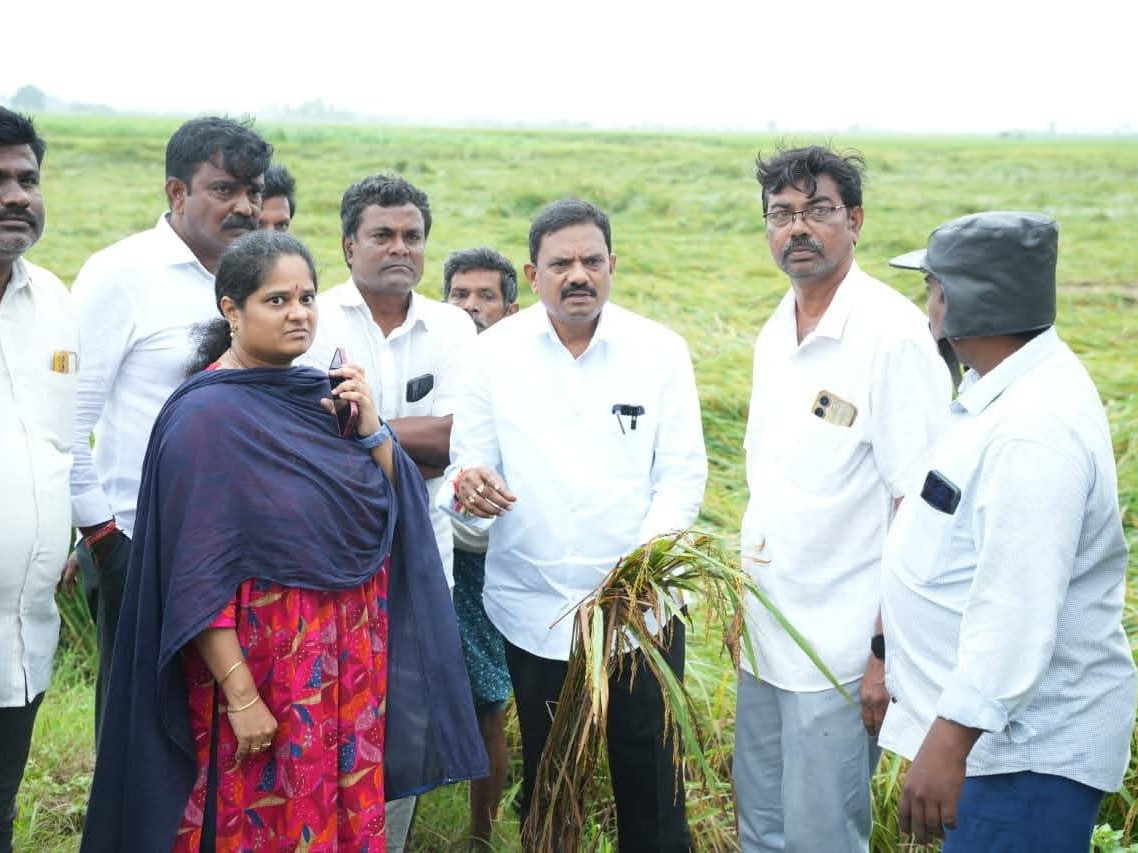 నీట మునిగిన పంటలను పరిశీలించిన ఎమ్మెల్యే
