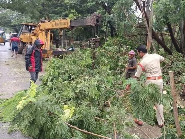 రహదారిపై చెట్ల తొలగింపు చర్యలు