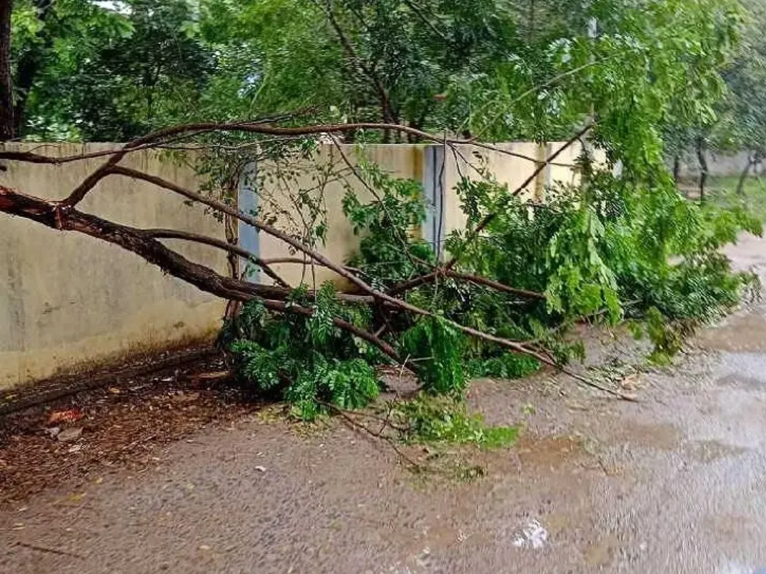 రోడ్డుపై విరిగి పడిన చెట్టు కొమ్మ..!