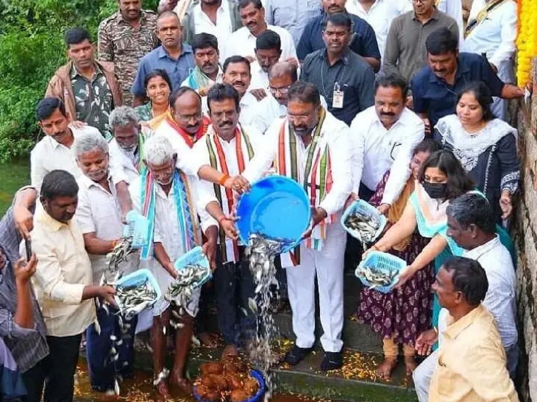 చేప పిల్లలను వదిలిన మంత్రి, ఎమ్మెల్యే